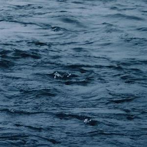 日本护士的肉肉A片
